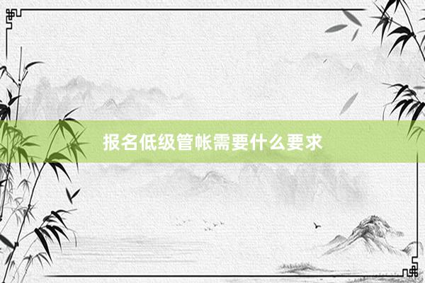 报名低级管帐需要什么要求